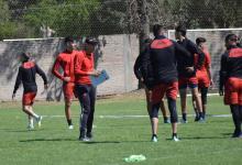 Patronato