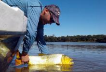 Hasta el 31 de diciembre rige el período de veda para la pesca de dorados en la provincia.