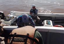 El operativo se realizó en Concordia, en el marco de la preservación del recurso ictícola y contra la pesca furtiva.