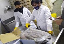Entre los operativos se incluyeron fiscalización a establecimientos frigoríficos y lugares de acopio y procesamiento de pescado en Victoria.