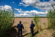 policías frontera Salta-Bolivia