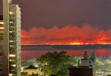 “Los incendios intencionales constituyen un importante agente de perturbación de los ecosistemas que afecta millones de hectáreas cada año”, se indicó en el informe del Conicet de Santa Fe.
