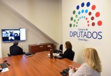 reunión virtual de comisiones Diputados 