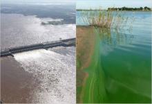La contaminación del río Uruguay se agravará con el nuevo Digesto aprobado de manera inconsulta por la CARU.