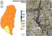 Advirtieron por los registros pluviales de diciembre más bajos en 70 años en Entre Ríos