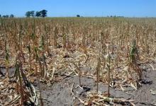A raíz de la sequía se espera una menor recaudación tributaria sobre el comercio exterior, además de una merma en distintas actividades vinculadas con el agro.