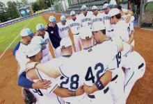 Softbol