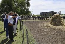 El gobernador Gustavo Bordet, firmó el decreto para la Licitación Pública con el objetivo de adquirir un equipamiento destinado al Laboratorio Regional de Calidad de Leche que depende del Ministerio de Producción. La inversión es de 50 millones de pesos.