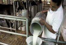 Para el Gobierno, los reintegros generan una erogación para el Estado y perjudican el desarrollo de un mercado lácteo.