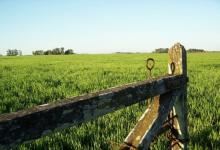 La mala distribución de la tierra o, dicho de otra forma, la concentración al extremo, no es nueva en Entre Ríos. Y es un debate que será necesario dar en algún momento.