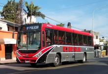 Colectivo