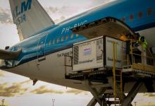 vacunas Sinopharm llegada a Ezeiza