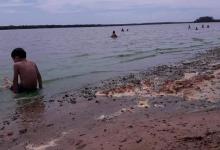 Denunciaron que playas de Colón están invadidas por algas tóxicas