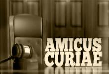 Amicus Curiae
